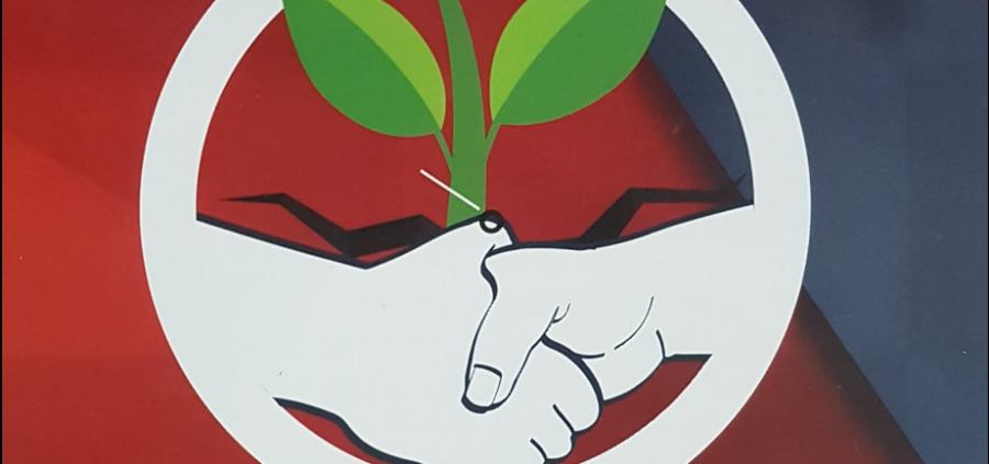 بالشراكة مع لجنة اولياء امور الطلاب القطرية : لجان إفشاء السلام تطلق موسم المسابقات